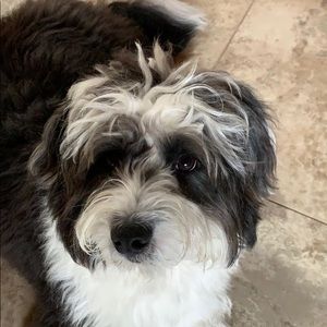 Meet your Posher, Tina